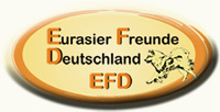 logo-efd